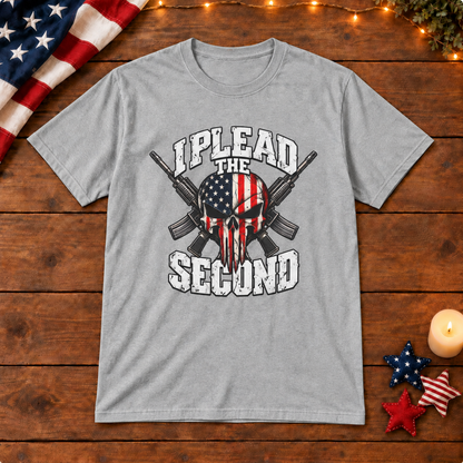 i plead the second shirt in gray on patriotic wooden background